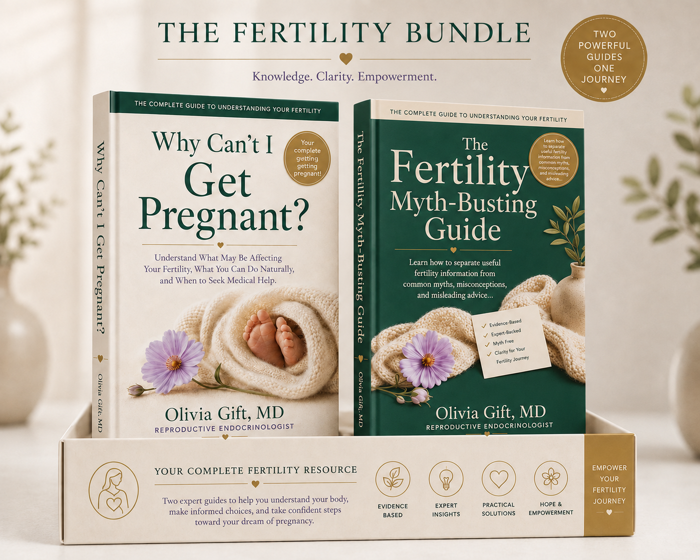 Why Can't I Get Pregnant guide plus The Fertility Myth-Busting Guide bonus