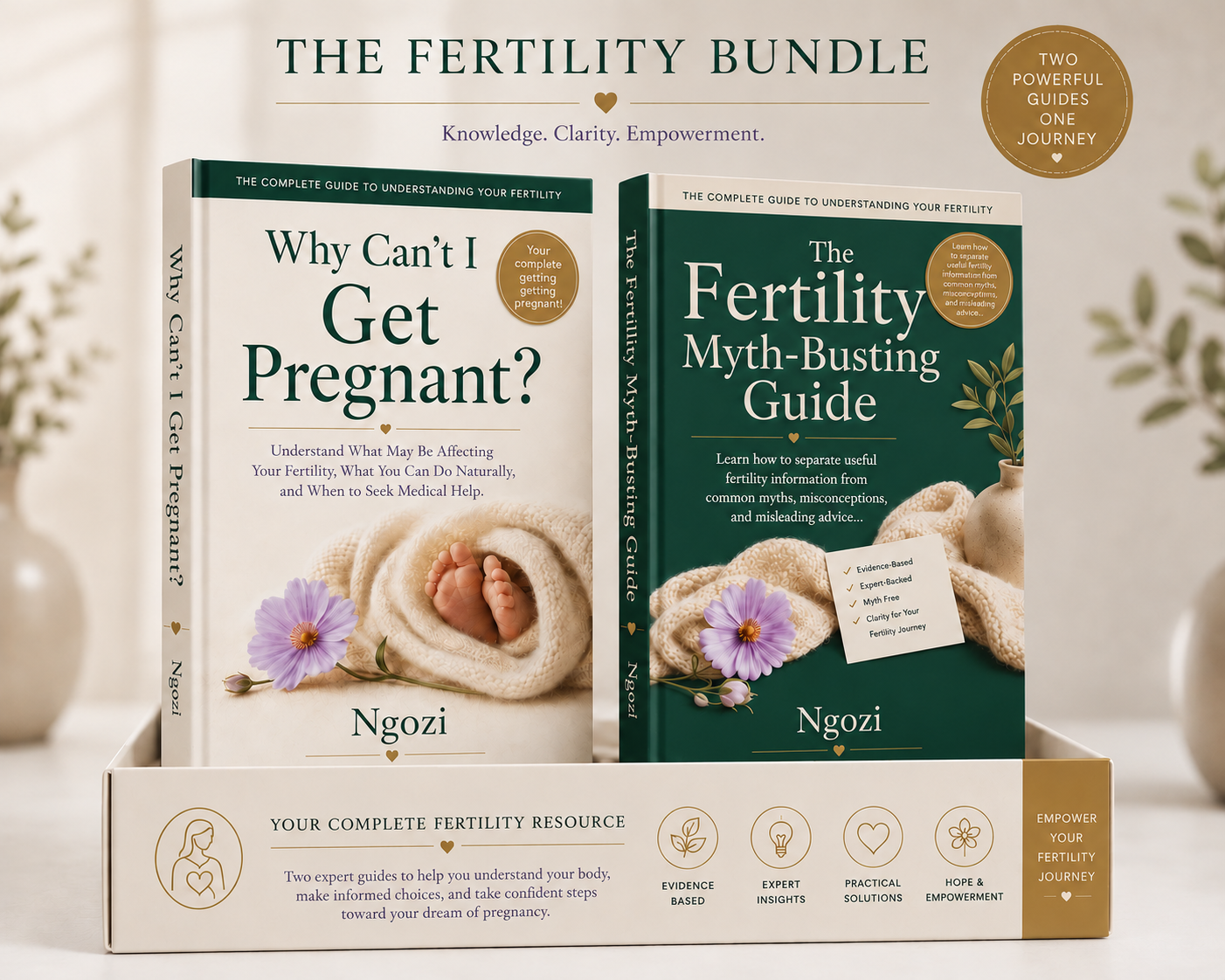 Why Can't I Get Pregnant guide plus The Fertility Myth-Busting Guide bonus